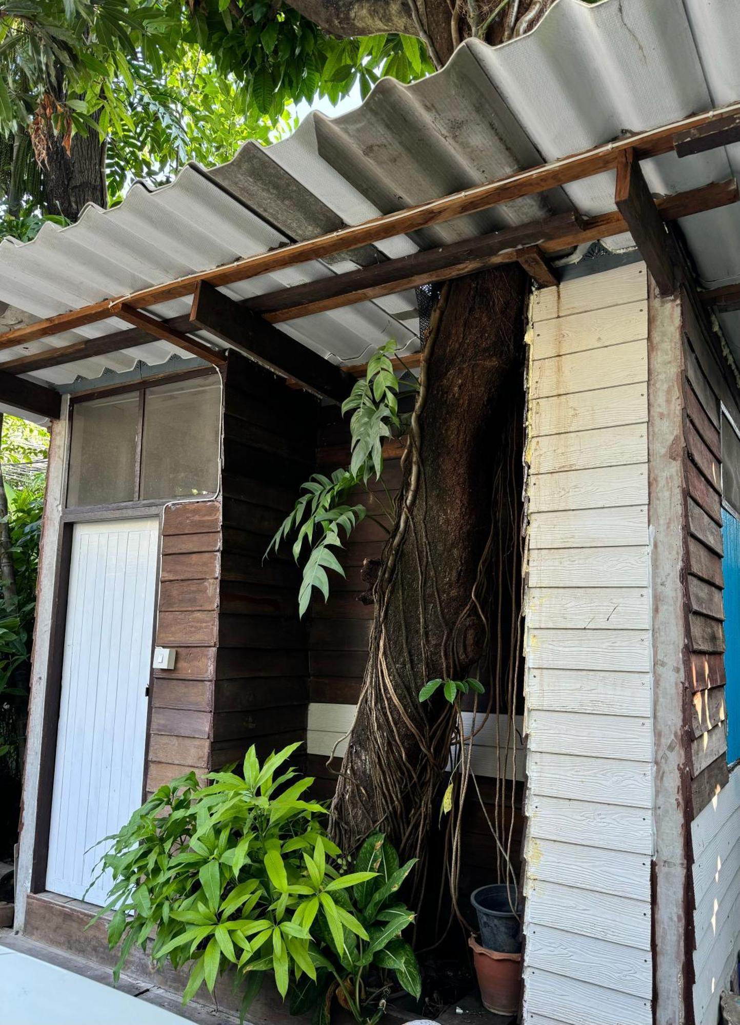 Appartement Many Trees à Bangkok Extérieur photo